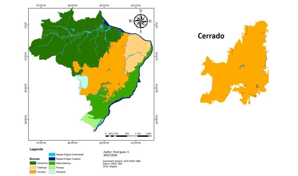 Bioma Cerrado Características