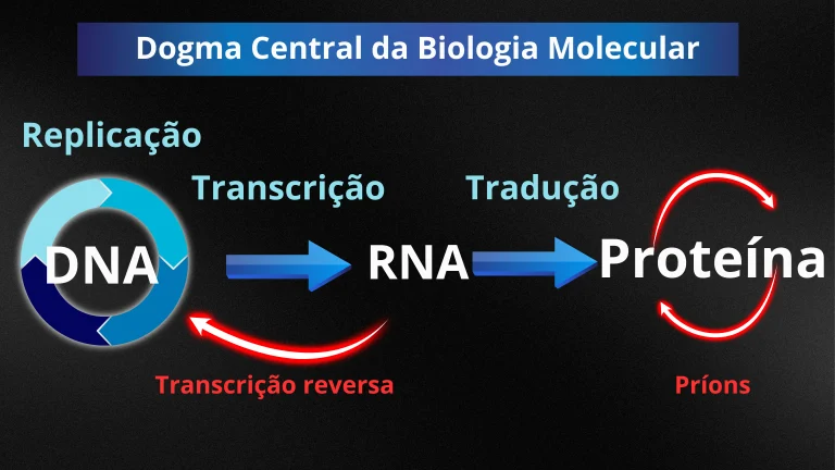 Dogma Central da Biologia Molecular